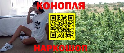 ГАЛЛЮЦИНОГЕННЫЕ ГРИБЫ Лесосибирск