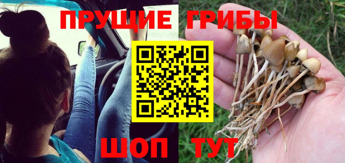 Псилоцибиновые грибы ЛСД Казань