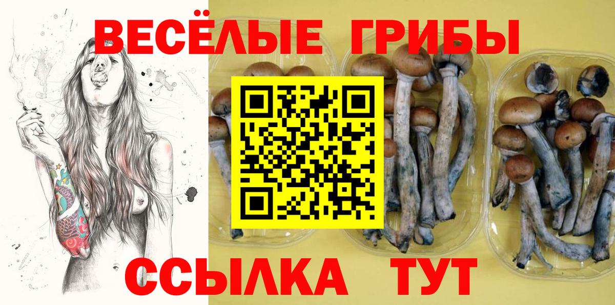 Галлюциногенные грибы прущие грибы  Вход с VPN  Казань 